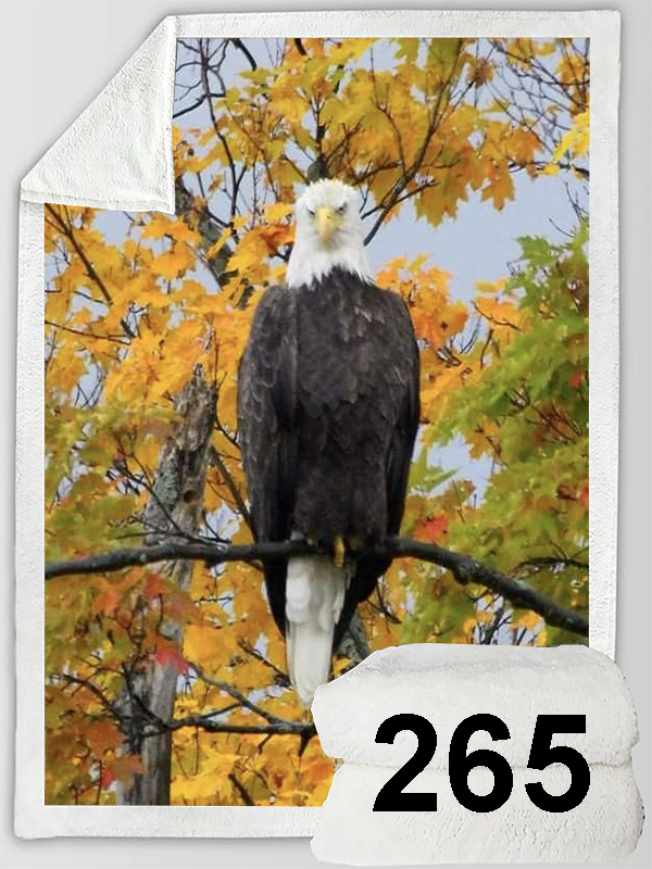 PREORDER Eagle 60"x80" Sherpa Blanket