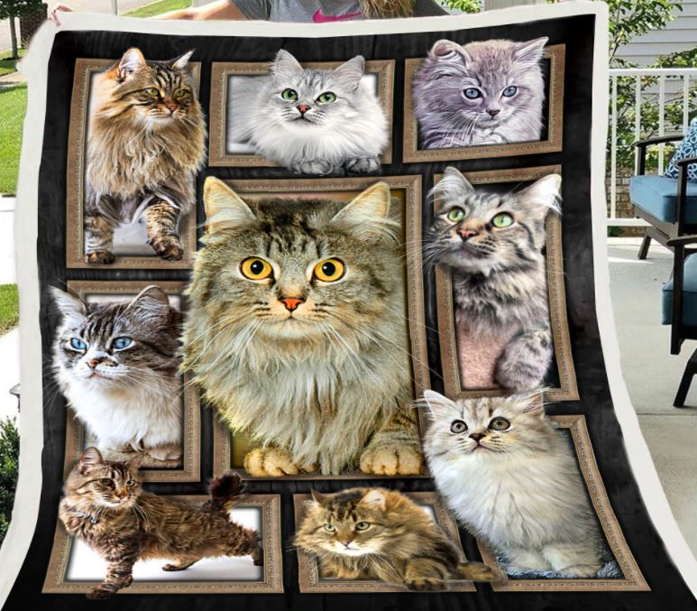 PREORDER Sherpa Blanket