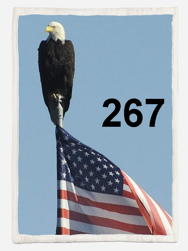 PREORDER Eagle 60"x80" Sherpa Blanket