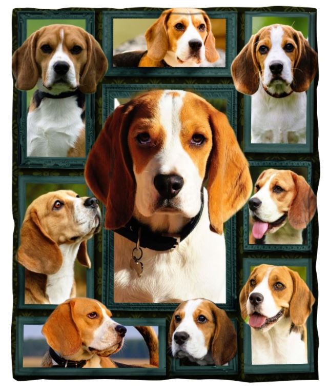PREORDER Beagle Sherpa Blanket